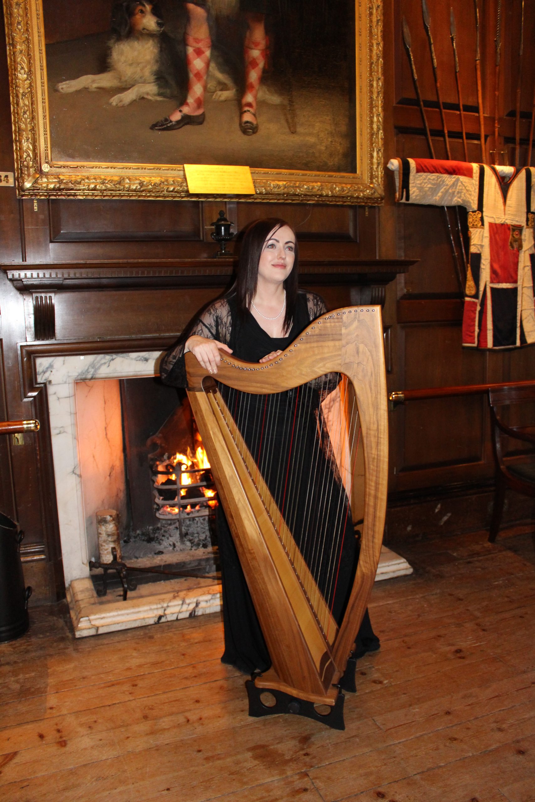 Harpist for hire – Alba Entertainments